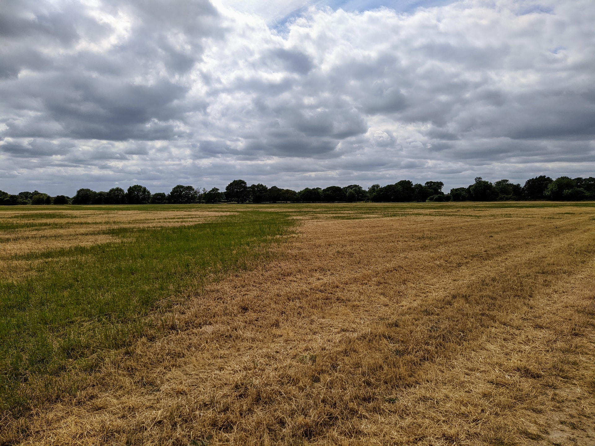 New blog goes live for Wills in Braintree Chelmsford New blog goes live for Wills in Braintree Chelmsford
