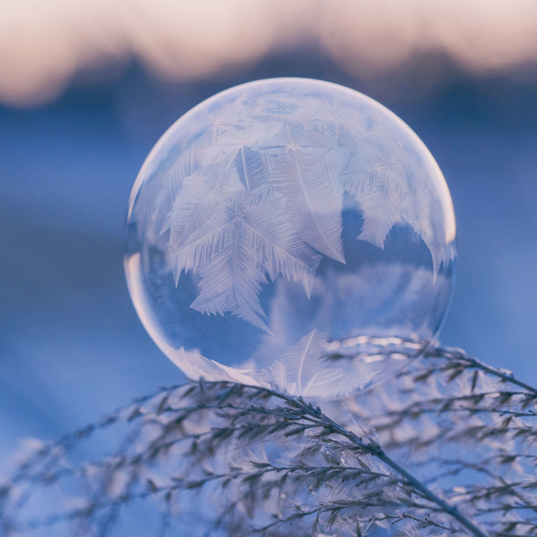 stencil.instagram-photo – 2023-11-23T153625.017 winter